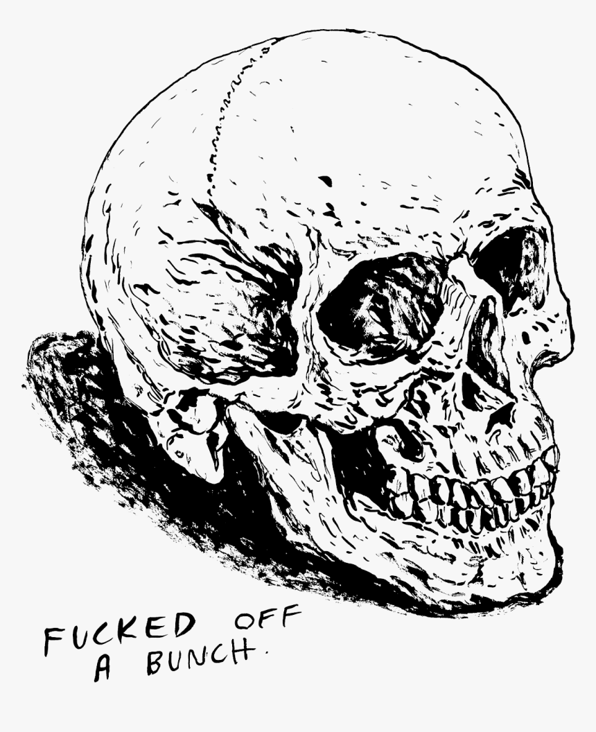 Svg Freeuse Library Baboon Drawing Skull - Skull, HD Png Download