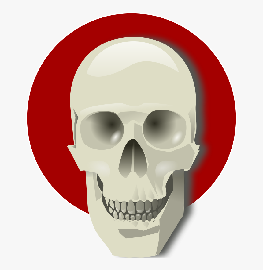 Human Skull - Png Gif In Live, Transparent Png
