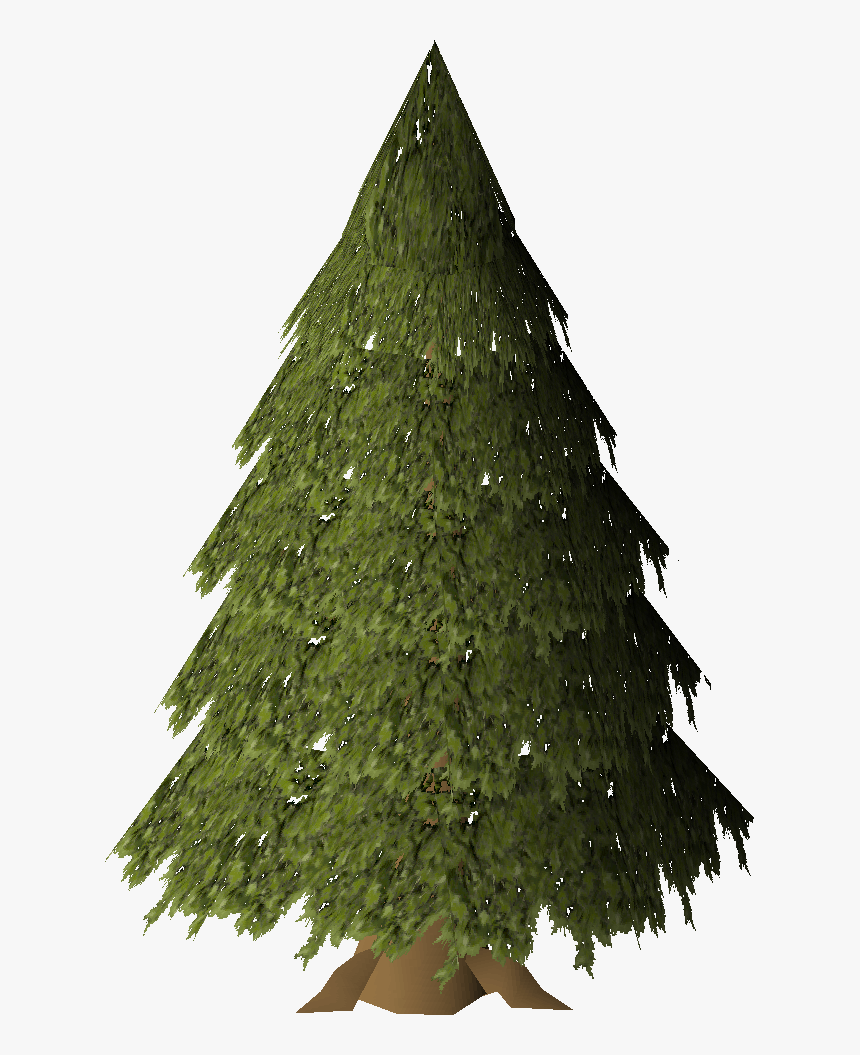 Christmas Tree, HD Png Download