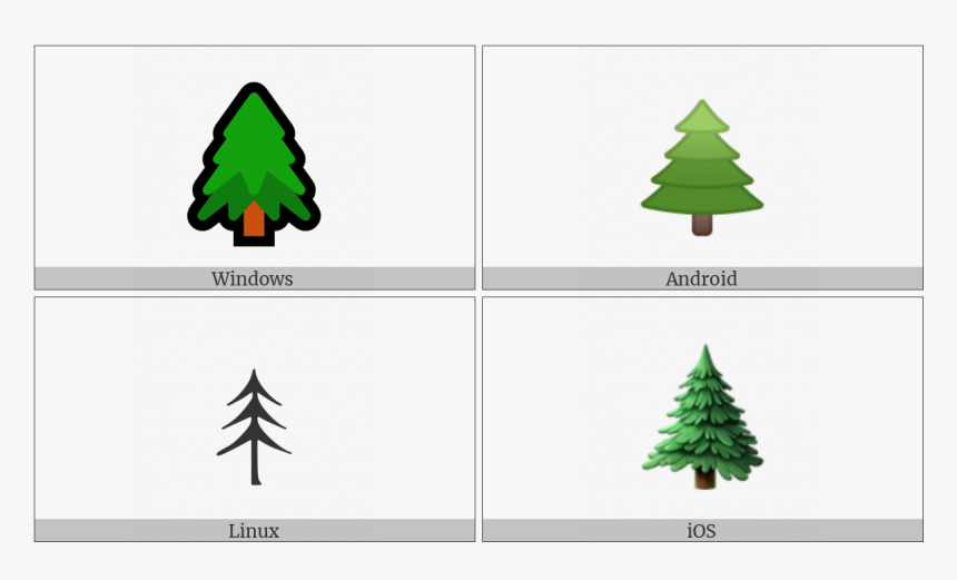 Evergreen Tree On Various Operating Systems - Christmas Tree, HD Png Download