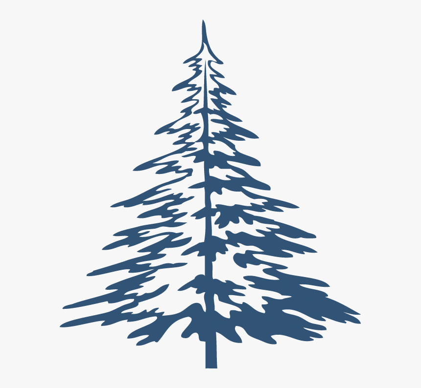 Christmas Tree, HD Png Download