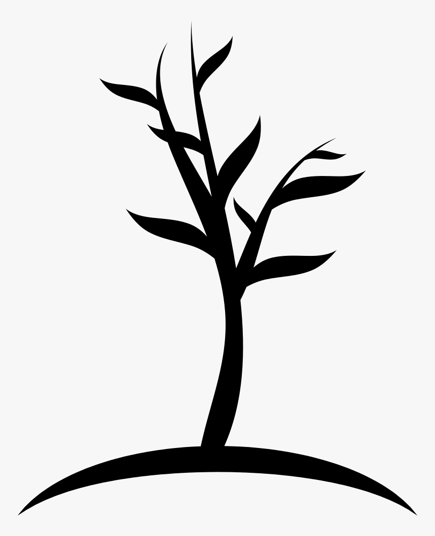 Young Tree - Young Tree Icon, HD Png Download