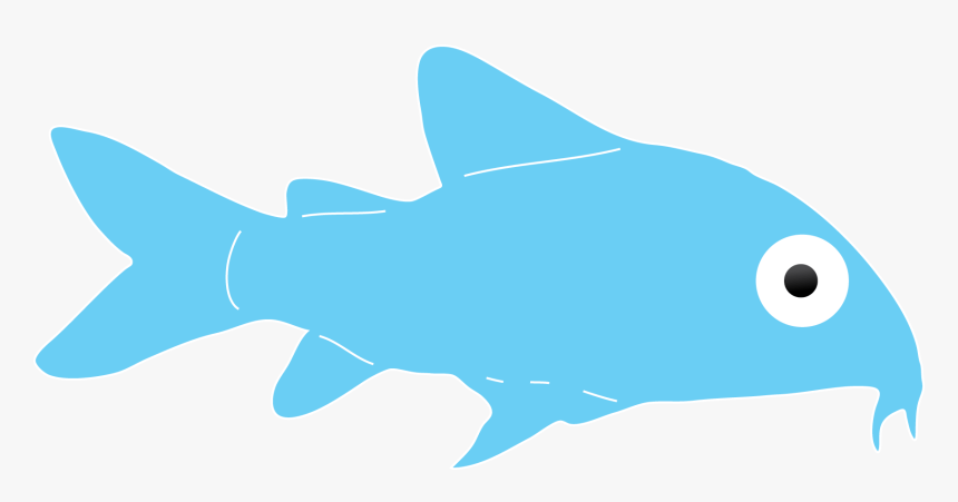 If You Look Carefully, You Ll Be Able To See Them Scooting - Cartilaginous Fish, HD Png Download