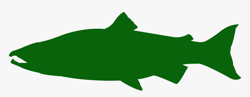 Salmon Silhouette Blue, HD Png Download