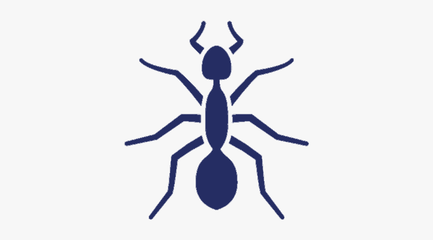 Ant-uspest - Ant, HD Png Download