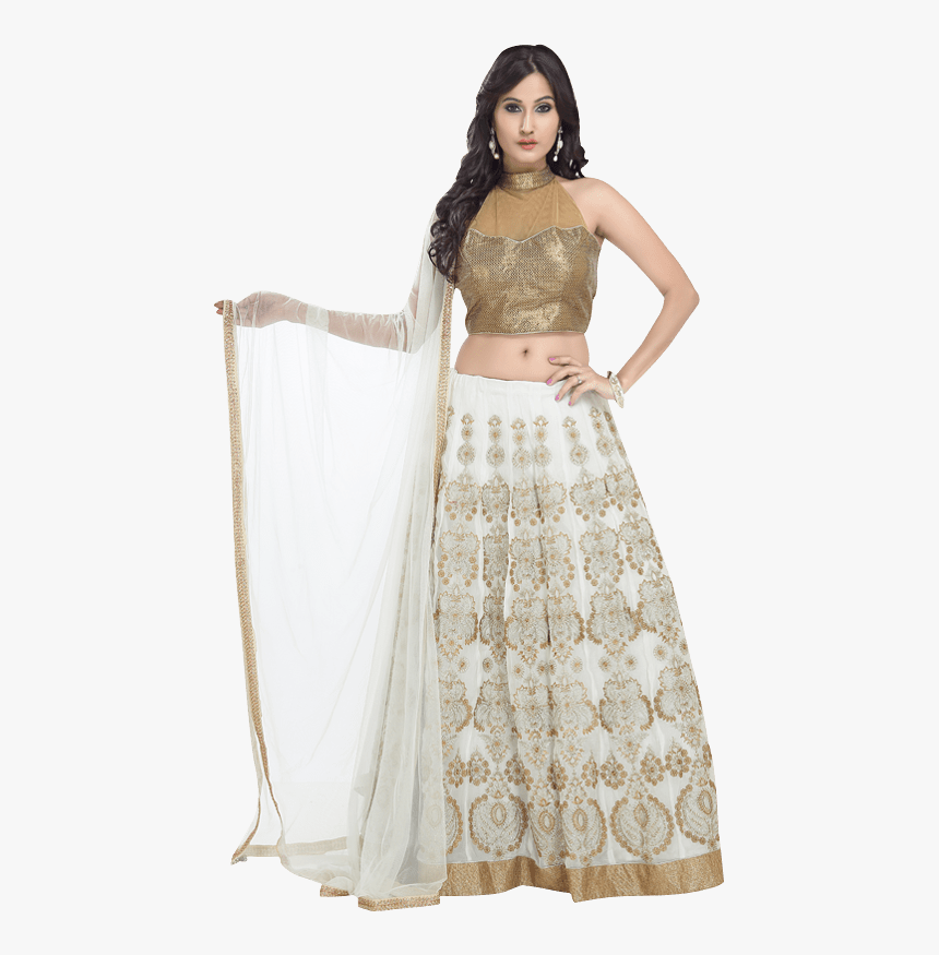 Off White Net Lehenga Choli With Dupatta - Photo Shoot, HD Png Download