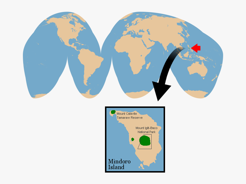 Vector Goode Homolosine Globe Clipart , Png Download - Seattle On A World Map, Transparent Png