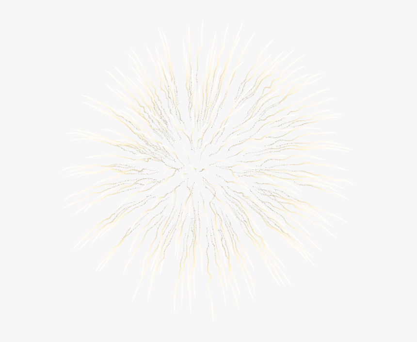 Fireworks, HD Png Download