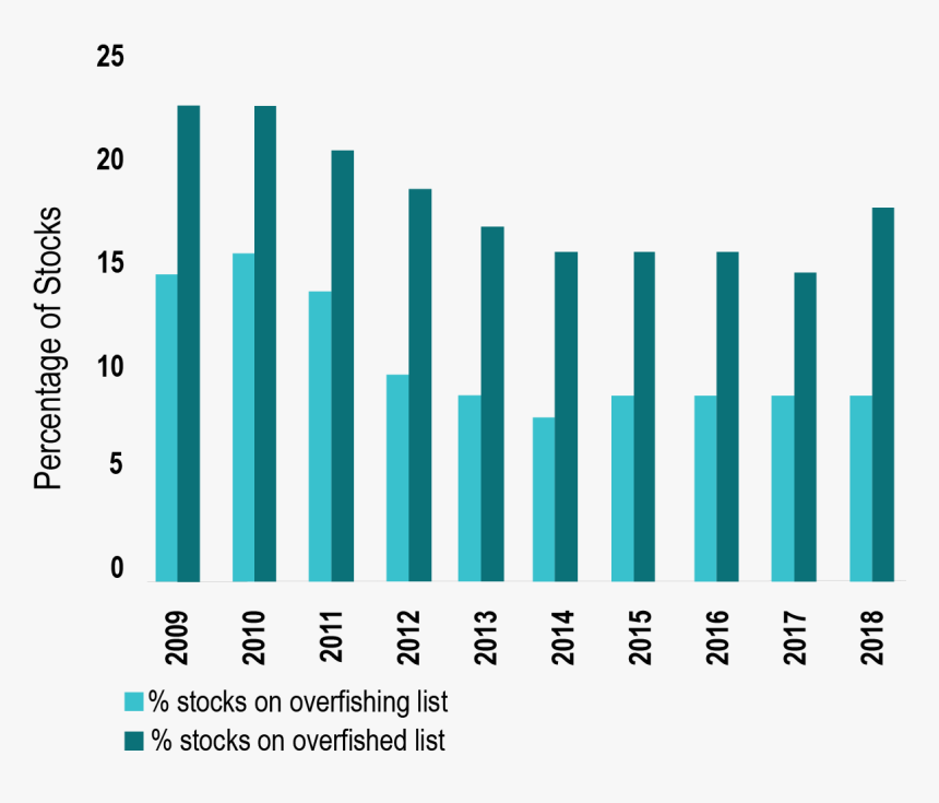 Stock Bar Graph-01 - Stocks For Overfishing, HD Png Download