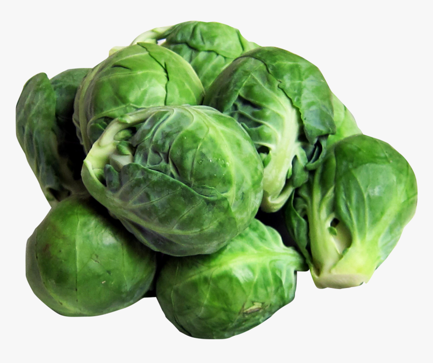 Brussels Sprouts Png Image - Brussels Sprouts Transparent Background, Png Download