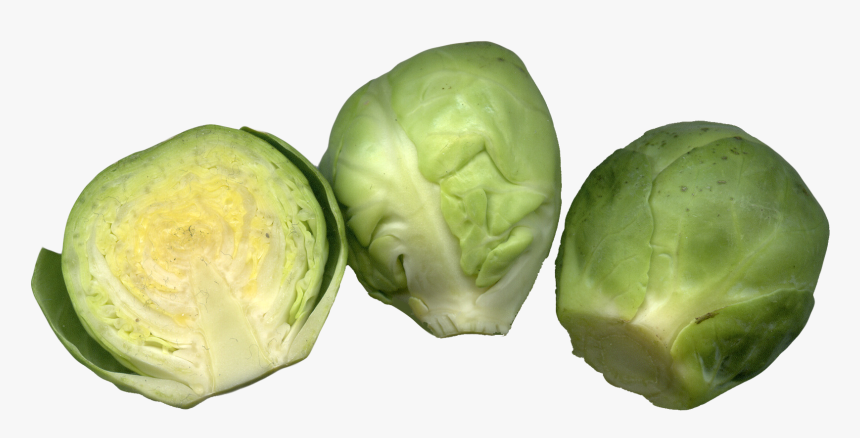 Brussels Sprouts Png Image - Clipart Transparent Brussel Sprouts, Png Download