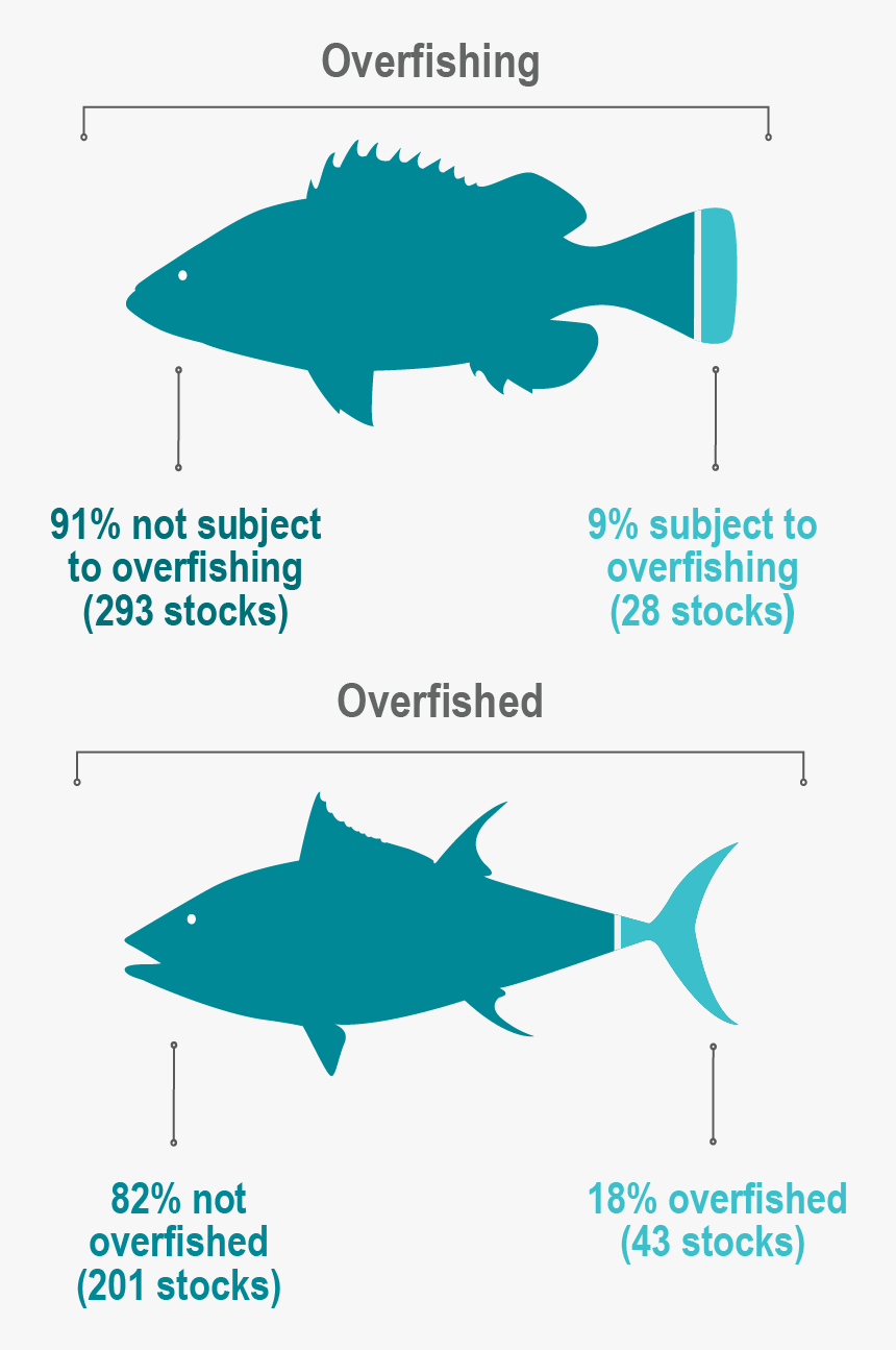 Fy2018 Stock Status Fish Graphic 01 01 - Number Of Overfished Stocks, HD Png Download