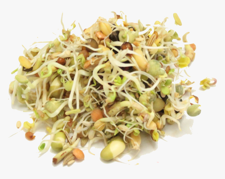 Mung Bean, HD Png Download