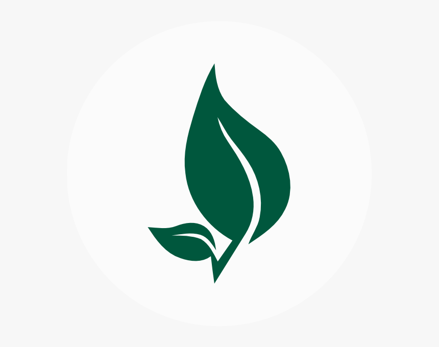 What We Do - Organic Leaf Png, Transparent Png