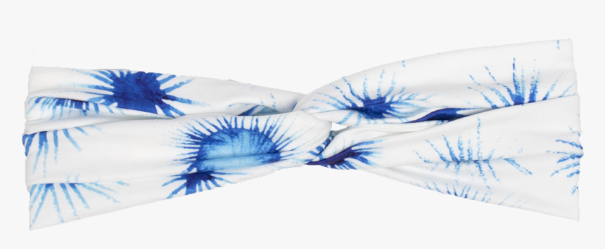 Transparent Supernova Png - Marine Invertebrates, Png Download