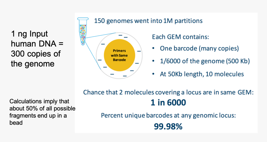 Math - Supernova 10x, HD Png Download