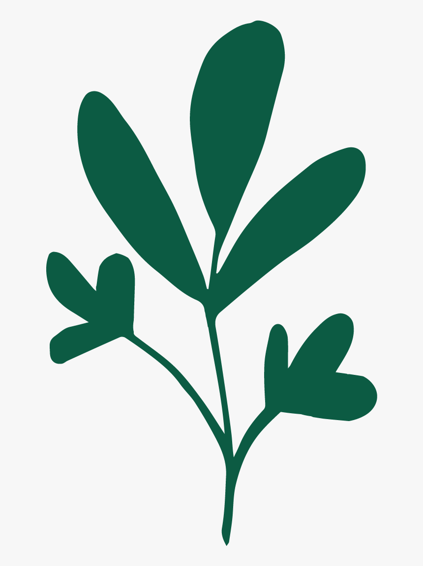 Plante Logo, HD Png Download