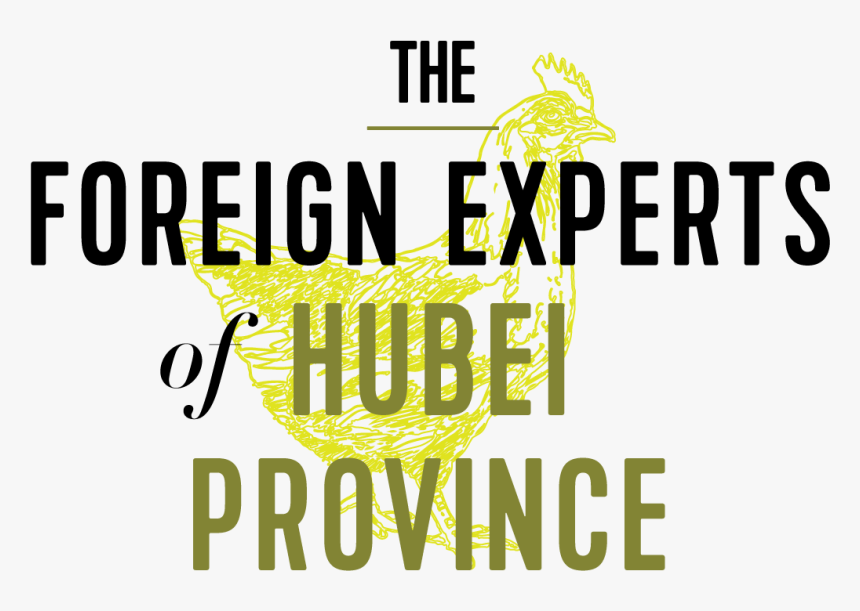 Graphic Design, HD Png Download