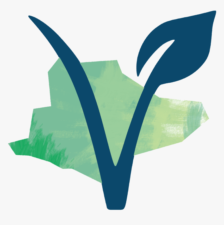 Image Background, HD Png Download