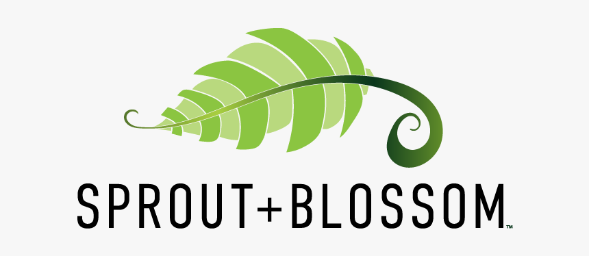 Graphic Design, HD Png Download