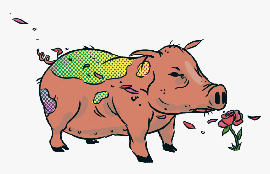 Jarrybriefs Vegan Pig - Domestic Pig, HD Png Download