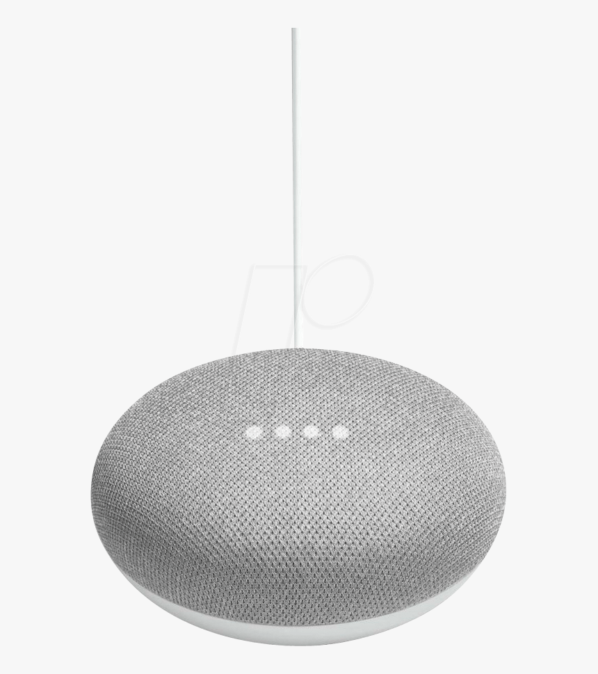 google home mini voice control
