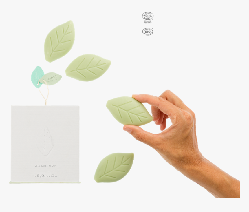 Jabon En Forma De Hoja, HD Png Download