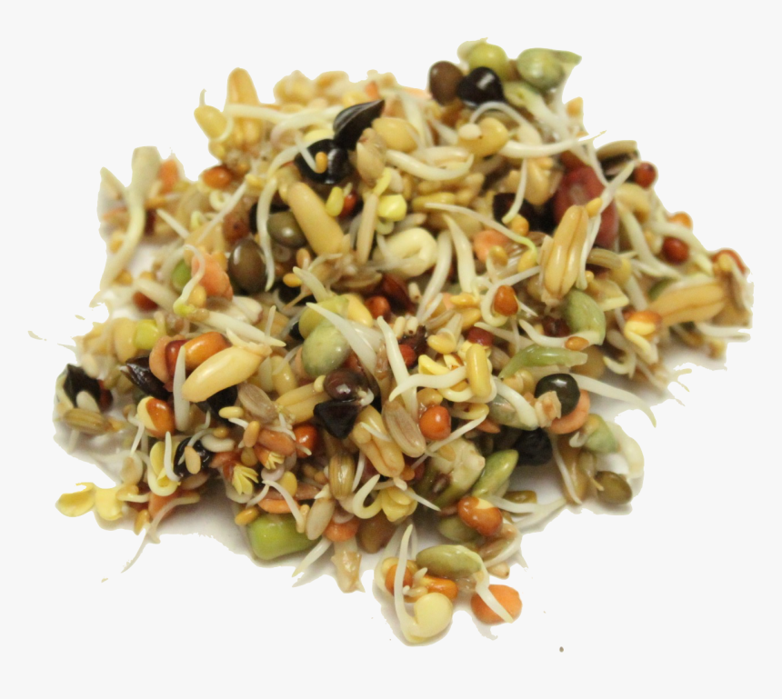 Mung Bean, HD Png Download
