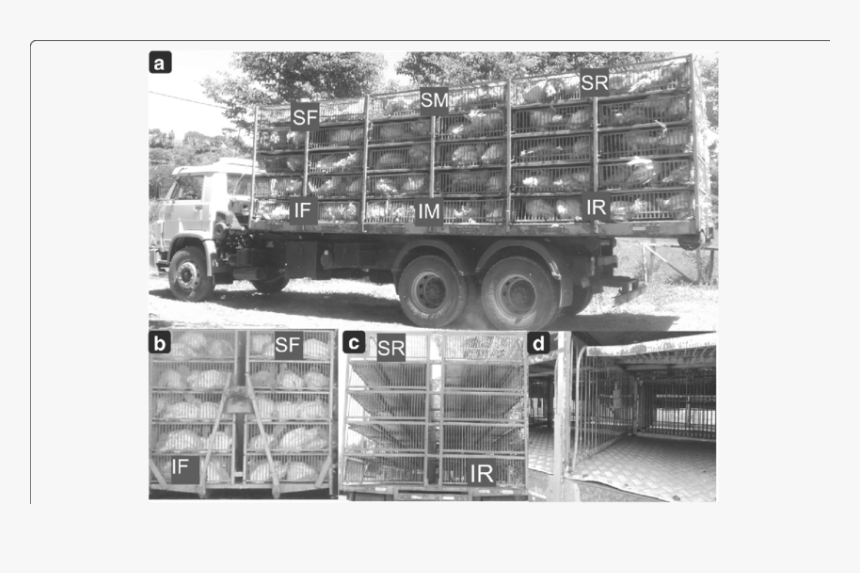 Transparent Truck Front Png - Trailer Truck, Png Download