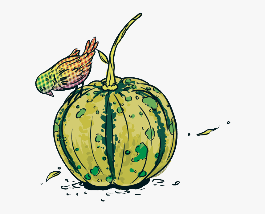 Jarrybriefs Vegan Pumpkin - Illustration, HD Png Download