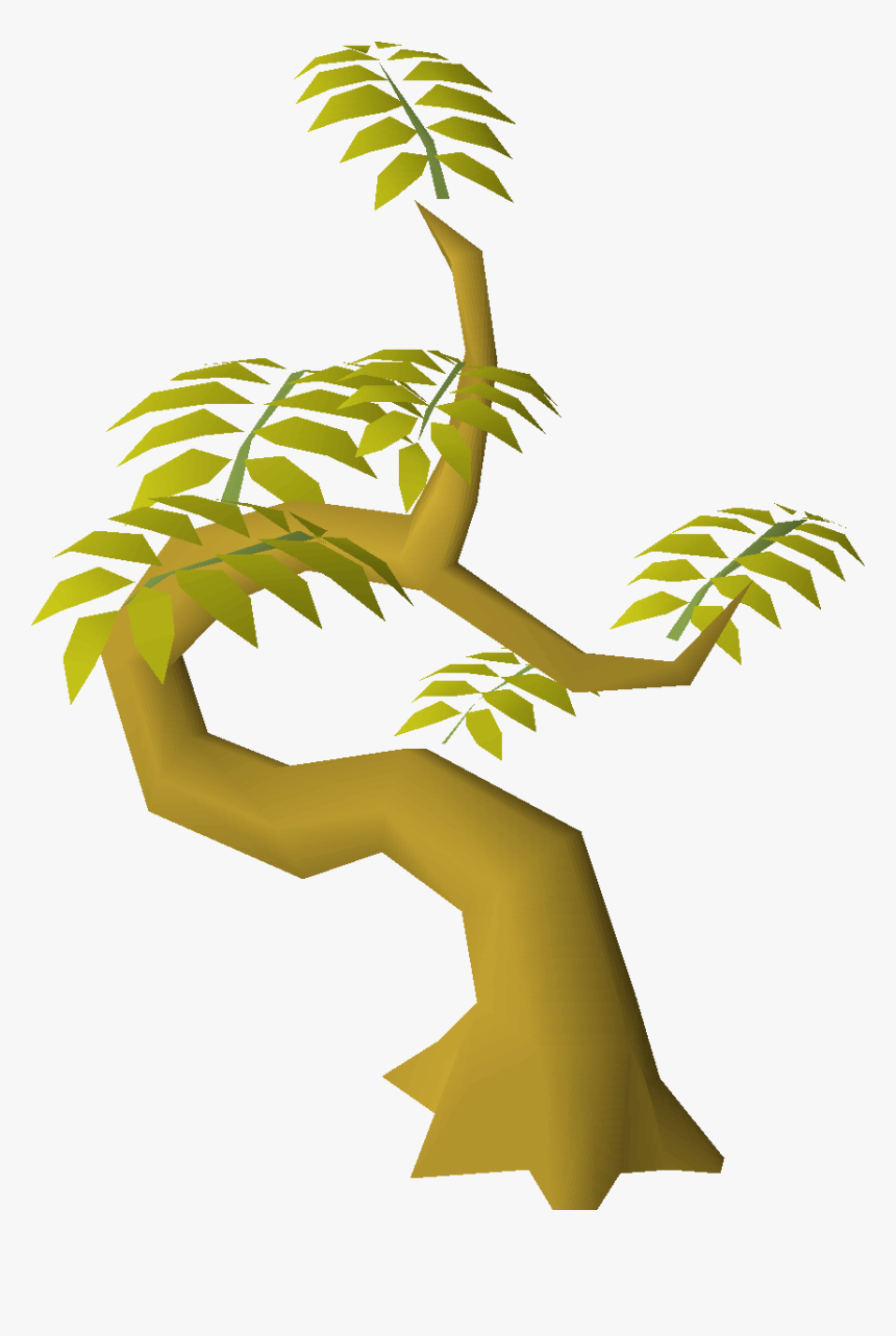 Roystonea, HD Png Download