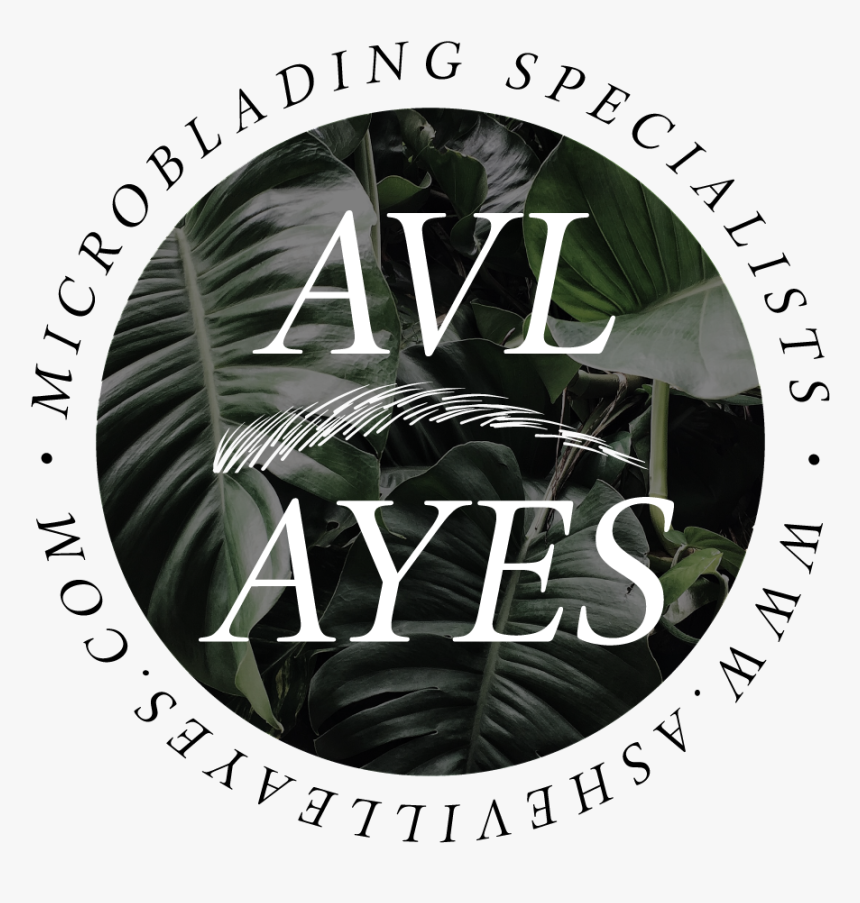 Social Logo 1, HD Png Download