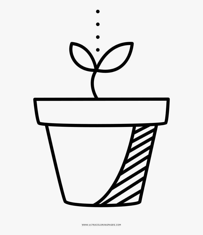 Sprout Coloring Page - Desenho Brotar Para Colorir, HD Png Download