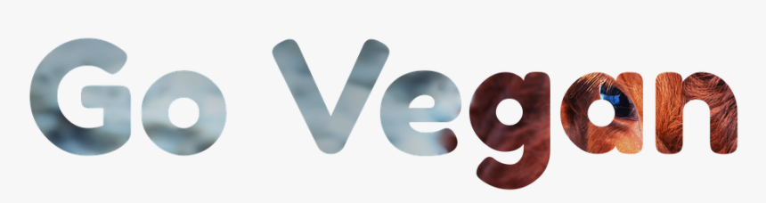 Eslogan Para Promocionar El Cuidado De Los Bosques, HD Png Download