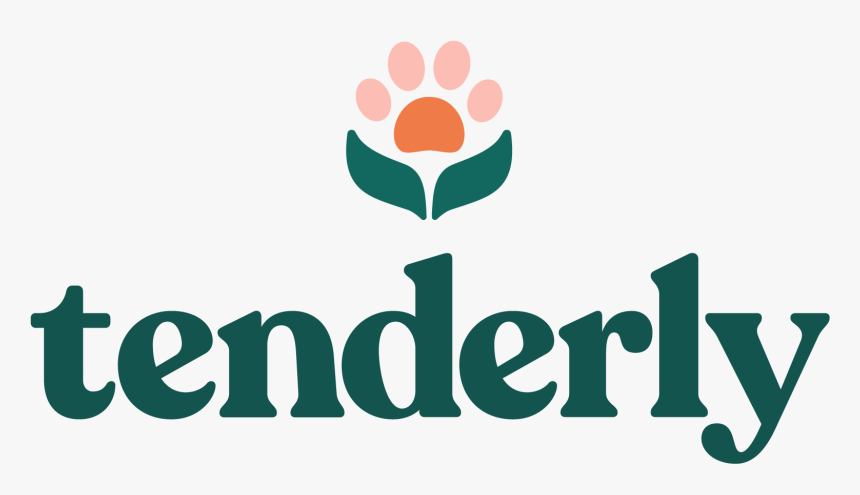 Graphic Design, HD Png Download