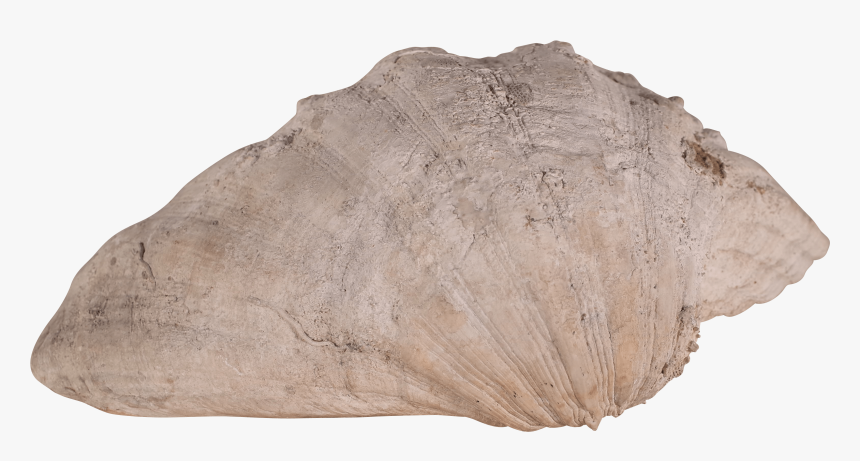 Igneous Rock, HD Png Download