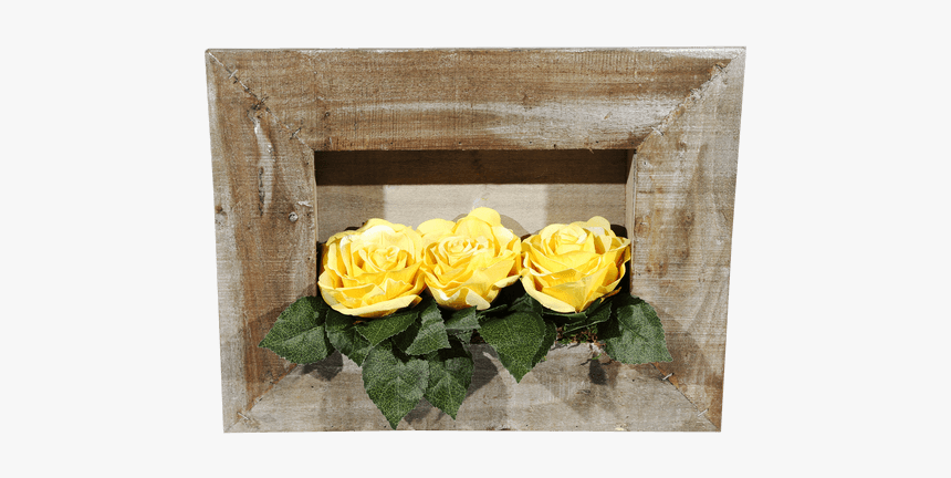 Garden Roses, HD Png Download