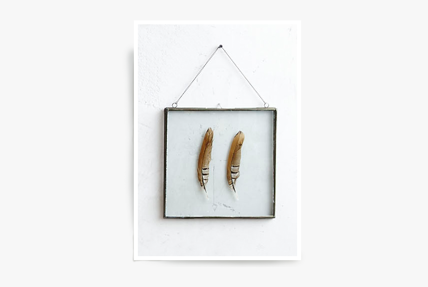 Death Photo Flower Frames Png, Transparent Png