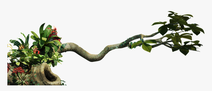 Scenery Plant Transparent - 3d Jungle Png, Png Download