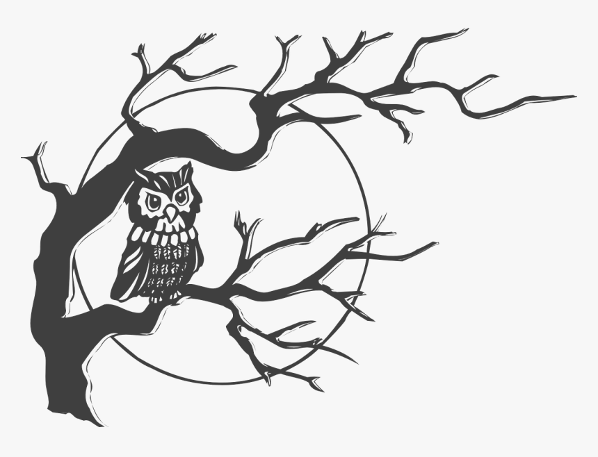 Owl In A Tree Clipart, HD Png Download