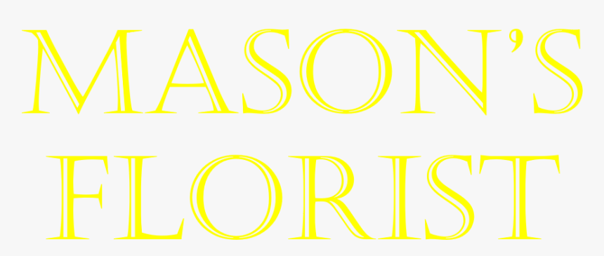 Mages Institute Of Excellence, HD Png Download