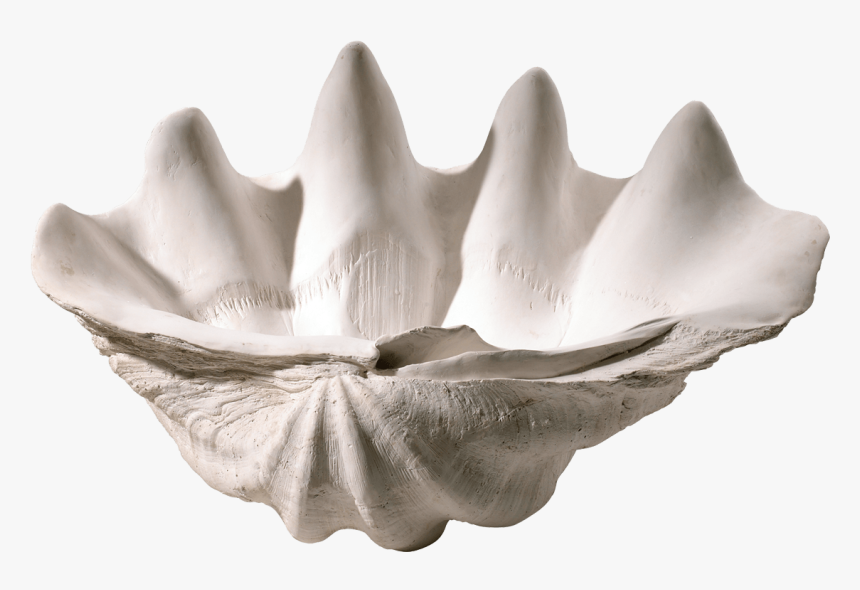 Transparent Clam Shell Png - Bowl, Png Download