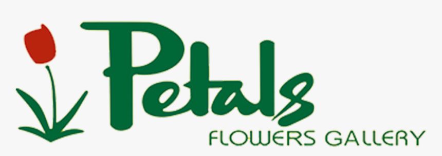 Petals Flowers Gallery - Graphics, HD Png Download