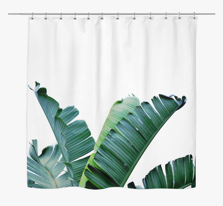 Tropical Banana Leaf Plant, HD Png Download