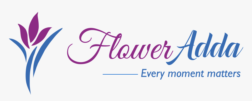 1st Birthday, HD Png Download