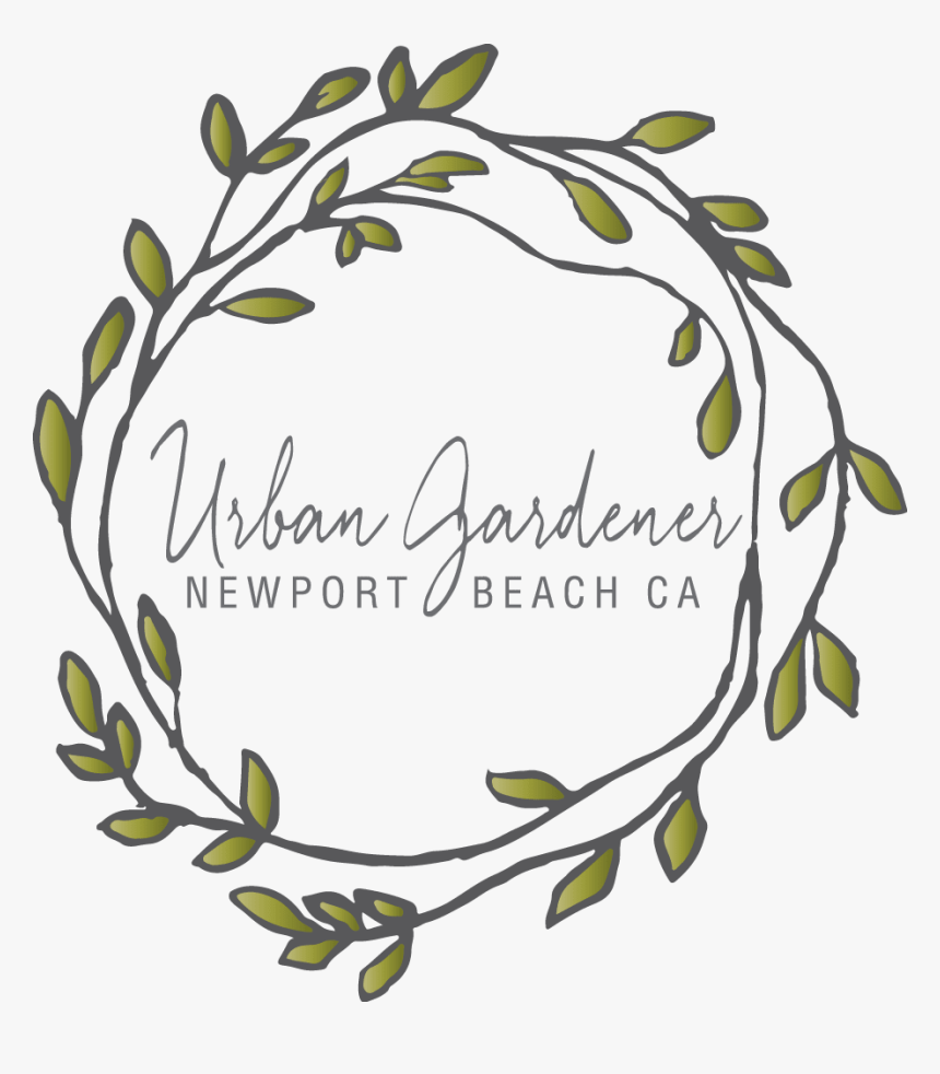 Newport Beach, Ca Florist, HD Png Download