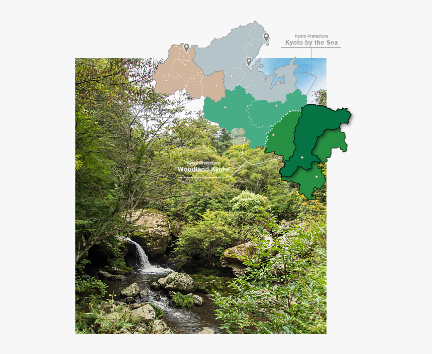 Nantan - Tree, HD Png Download