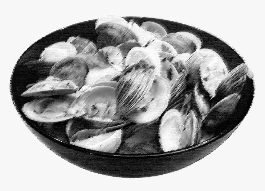 Monochrome, HD Png Download