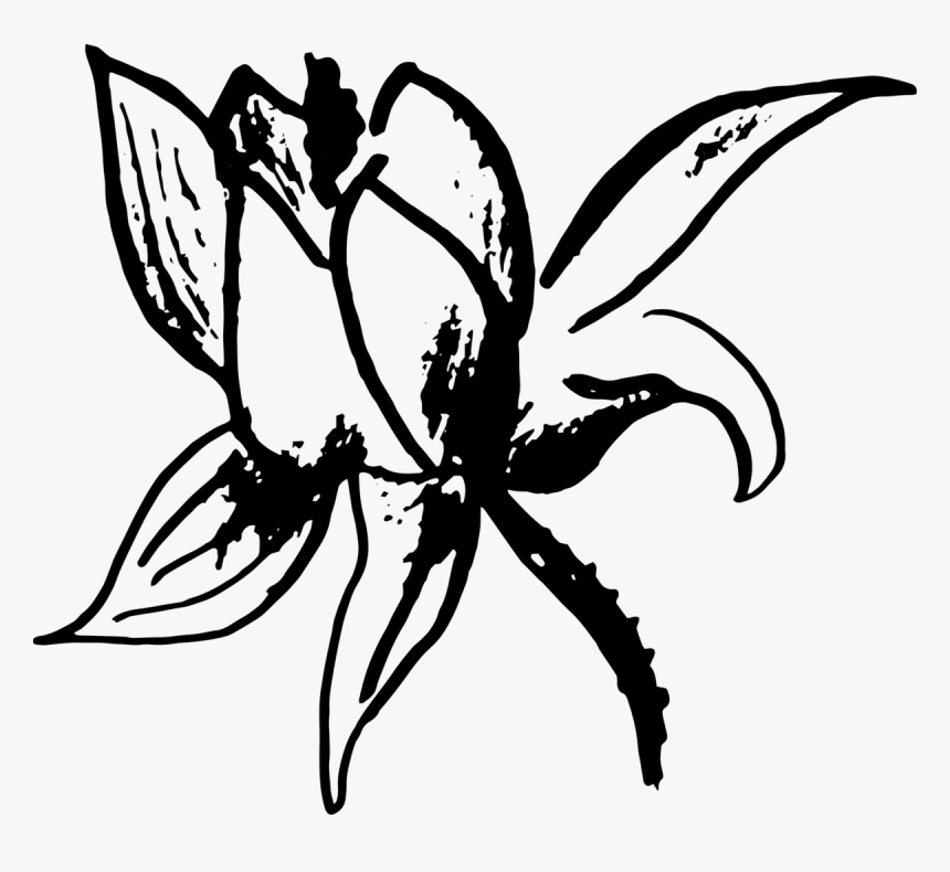 Illustration, HD Png Download