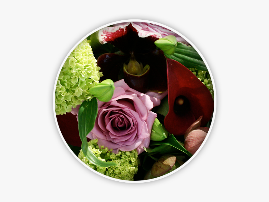 Bouquets & Flowers - Floribunda, HD Png Download